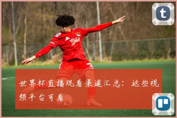 世界杯直播观看渠道汇总:这些视频平台可看